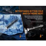 Fenix PD36 Tac Police Torch