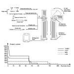 Fenix WT25R Vari Angle work torch
